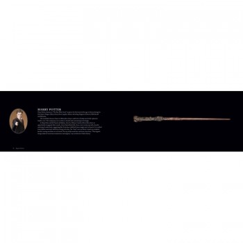 Kosmetinis defektas Harry Potter The Wand Collection knyga Insight Editions